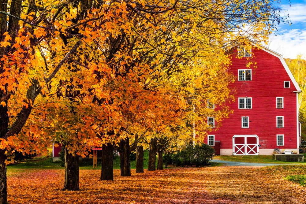 500px Photo ID: 101744973 - Fall, Woodstock Vermont - BRETT TOLLMAN