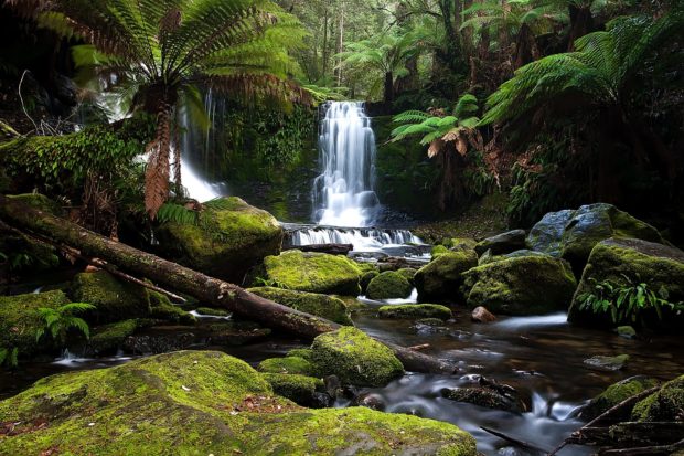 TTC-Top-Eleven-Horseshoe-Falls-Tasmania